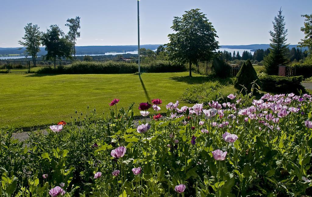Langaenge Logi Panzió Tandsbyn Kültér fotó